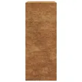 VidaXL Étagère à bois 60x40x100 cm acier résistant aux intempéries