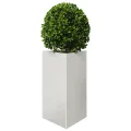 Jardinière triangulaire 50x43x75 cm acier inoxydable