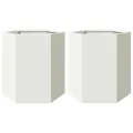 Jardinières 2 pcs blanc hexagone 46x40x45 cm acier
