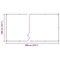 Bâche transparente avec œillets 2x8 m PVC