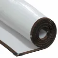 Bâche transparente avec œillets 4x5 m polyéthylène