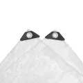 Bâche transparente avec œillets 6x10 m PVC