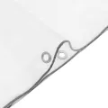 Bâche transparente avec œillets 2x10 m polyéthylène