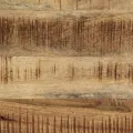 Meuble TV 100x42x40 cm bois massif de manguier brut