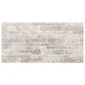 Panneaux muraux 3D 10 pcs gris clair 100x50 cm EPS