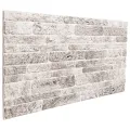 Panneaux muraux 3D 10 pcs gris clair 100x50 cm EPS