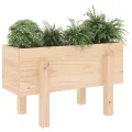 Jardinière 62x30x38 cm bois massif de pin