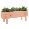 Lit surélevé de jardin 101x30x38 cm bois douglas massif