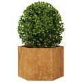 Jardinière hexagone 69x60x45 cm acier patinable