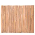 Clôtures en bambou 2 pcs 100x400 cm