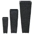 Lits surélevés 3 pcs Jacinthe d'eau Noir