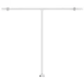Auvent automatique sur pied 300x250 cm Anthracite
