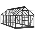 Serre en verre Anthracite 155x395,5x191 cm Aluminium