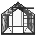 Serre en verre Anthracite 155x395,5x191 cm Aluminium