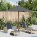 Parasol d'extérieur avec mât en bois 150x200 cm anthracite