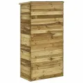 Abri à outils pour jardin Pin 85x48x177 cm
