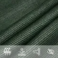 Voile d'ombrage 160 g/m² Vert foncé 2x4 m PEHD
