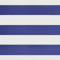 Auvent rétractable automatique bleu et blanc 5x3 m