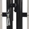 Portail simple de clôture Noir 300x125 cm