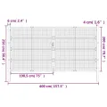 Portail de jardin anthracite 400x200 cm acier
