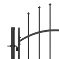 Portail de clôture de jardin avec dessus en lance 5x2 m Noir