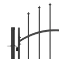 Portail de clôture de jardin avec dessus en lance 5x2,45 m Noir