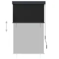Store roulant d'extérieur 100 x 250 cm Anthracite