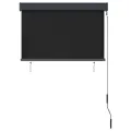 Store roulant d'extérieur 100 x 250 cm Anthracite
