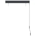 Store roulant d'extérieur 100 x 250 cm Anthracite