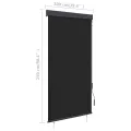 Store roulant d'extérieur 100 x 250 cm Anthracite