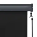 Store roulant d'extérieur 140 x 250 cm Anthracite