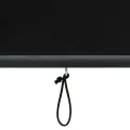 Store roulant d'extérieur 140 x 250 cm Anthracite