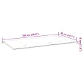 Coussin de Banc de Jardin Rosa - 100x50x4 cm, Tissu Oxford