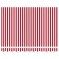 Auvent Rétractable Manuel Rayé Rouge et Blanc 350x250 cm