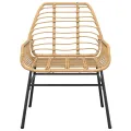 Ensemble à manger de jardin 9 pcs marron résine tressée verre