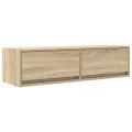 Meuble TV  Chêne Sonoma 100x31x25,5 cm en bois d'ingénierie
