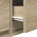 Meuble TV  Chêne Sonoma 100x31x25,5 cm en bois d'ingénierie