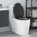 Siège de toilette à libération rapide avec fermeture douce en durosthène noir
