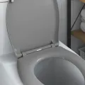 Toilette à libération rapide  avec fermeture douce Duroplast Grise