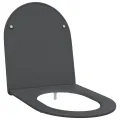 Siège de toilette à fermeture rapide  avec chute douce en duroplast anthracite