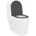 Siège de toilette à fermeture rapide  avec chute douce en duroplast anthracite