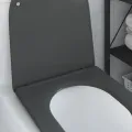 Siège de toilette à fermeture rapide  avec chute douce en duroplast anthracite