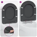Siège de toilette à fermeture rapide  avec chute douce en duroplast anthracite