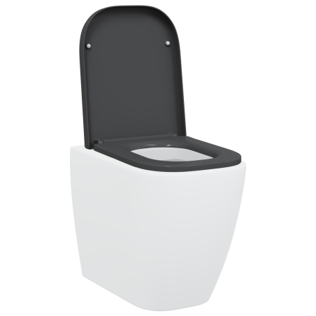Siège de toilettes à libération rapide avec système de fermeture douce en duroplast anthracite