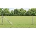 Clôture en Treillis Pack de 2 Acier galvanisé 25 x 0.8 m Costaud