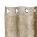 Rideaux en velours 2 pcs avec œillets Crème 260x140 cm
