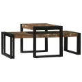 Ensemble de 2 Tables Basses en Bois Massif Récupéré