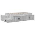 Cadre de Lit de Stockage Gris Sonoma 100x200 cm