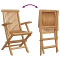 Ensemble Bistro de Jardin Pliable 3 Pièces en Bois Massif d'Acacia