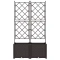 Jardinière avec treillis 2 pcs Marron 80x40x143 cm